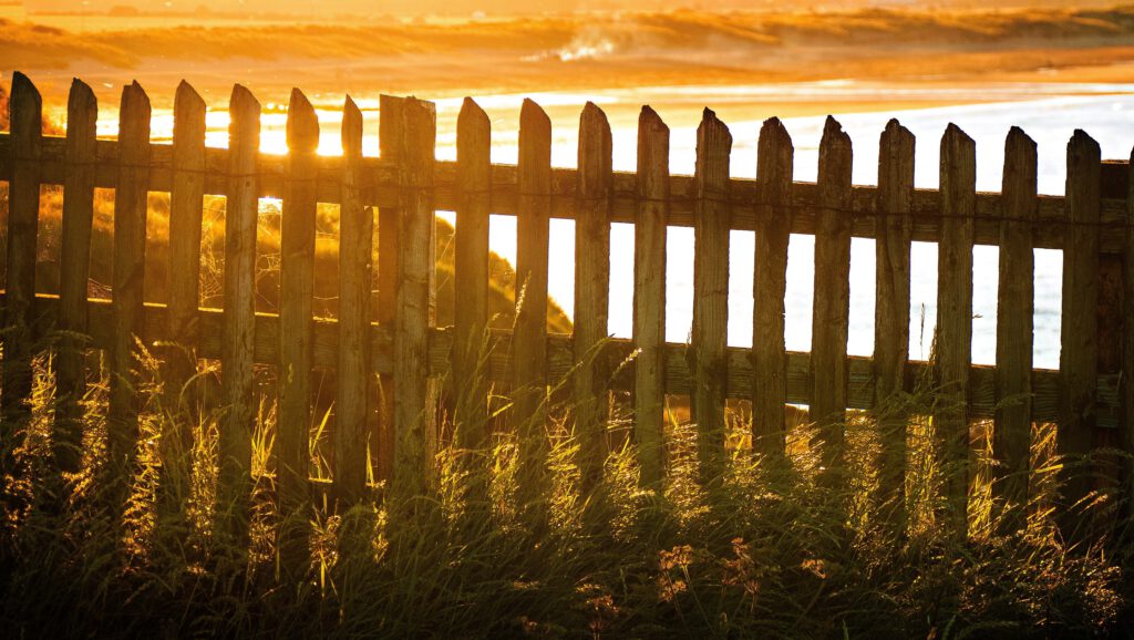 Fence in Your Front Yard