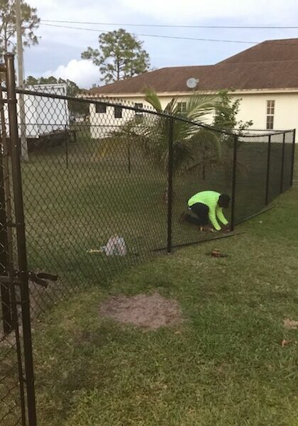 best chain link fences jupiter florida